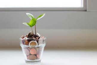 seedling growing from cup of change