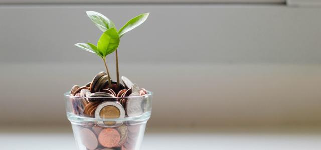 seedling growing from cup of change